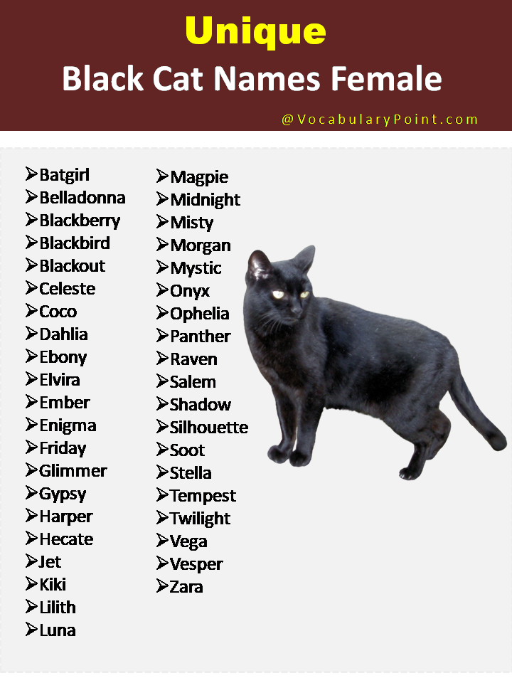 Unique Black Cat Names Female