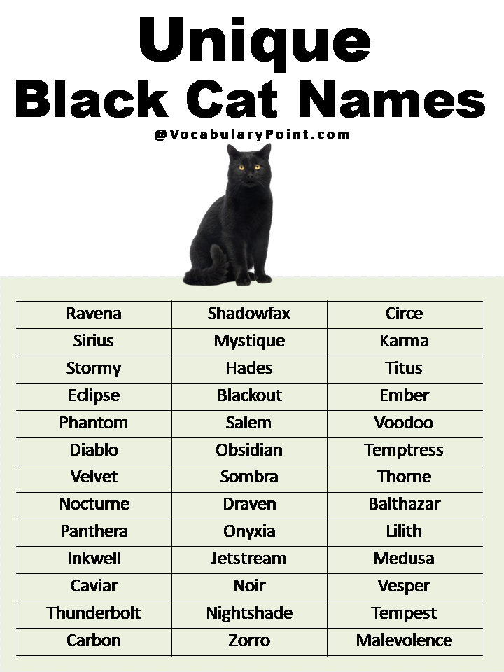 black-cats-names-boy