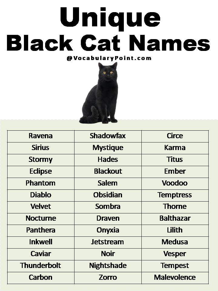 200 Best Black Cat Names Unique Badass Vocabulary Point