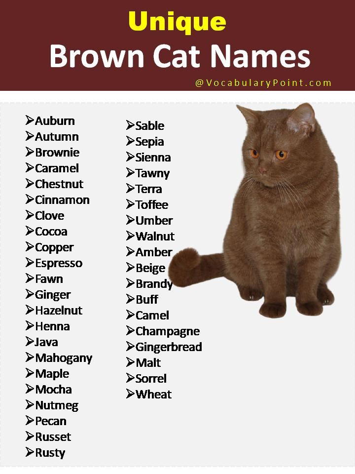 Unique Brown Cat Names
