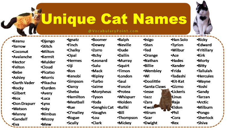 150+ Unique Cat Names in English (Black, Gray And Kitten) - Vocabulary ...