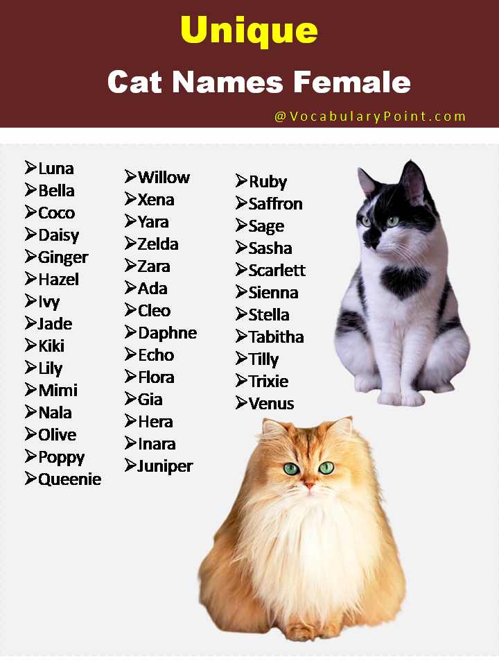 Unique Cat Names Female