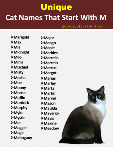 150+ Unique Cat Names in English (Black, Gray And Kitten) - Vocabulary ...