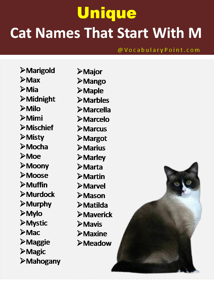 Names For Boy Cats