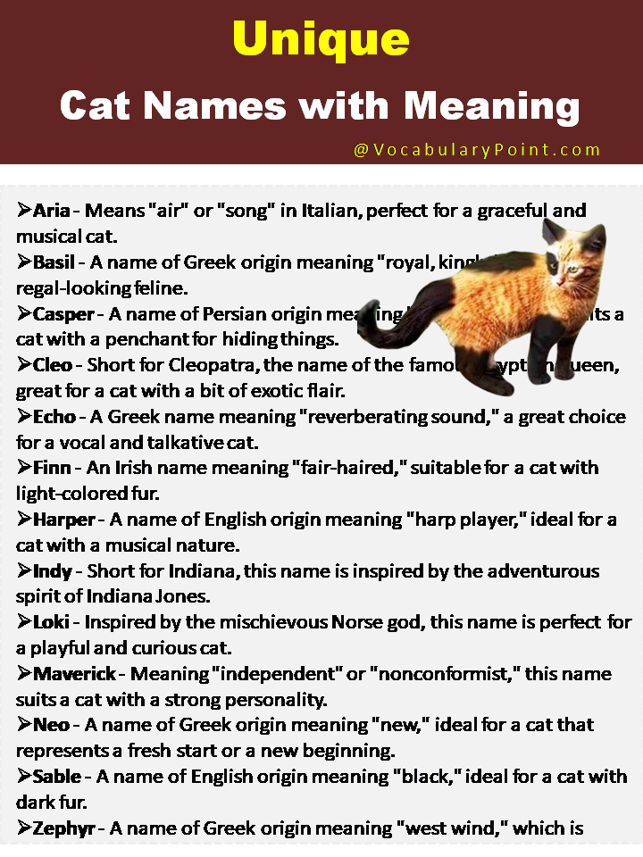 Unique Cat Names with Meaning