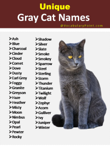 150+ Unique Cat Names in English (Black, Gray And Kitten) - Vocabulary ...