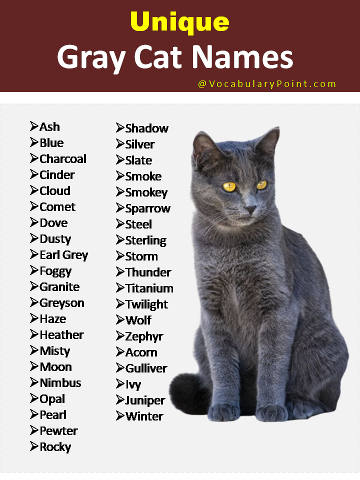 Unique Gray Cat Names