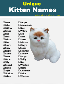 100+ Cute Kitten Names - Vocabulary Point