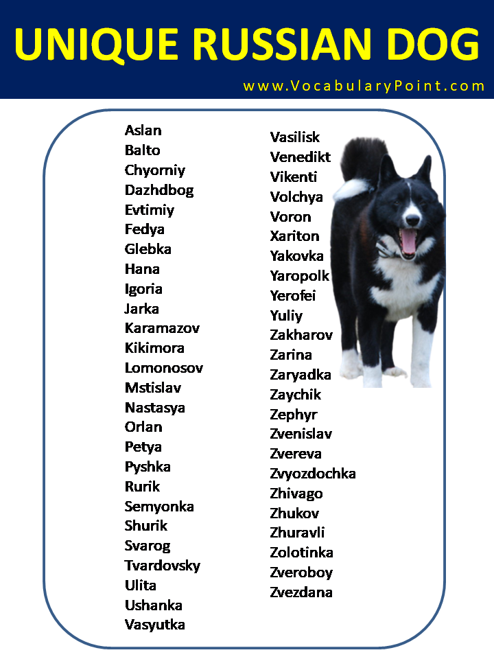Unique Russian Dog Names