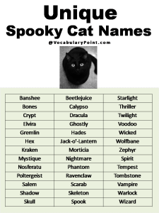 200+ Best Black Cat Names (Unique & Badass) - Vocabulary Point