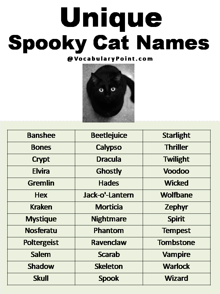 Unique Spooky Cat Names