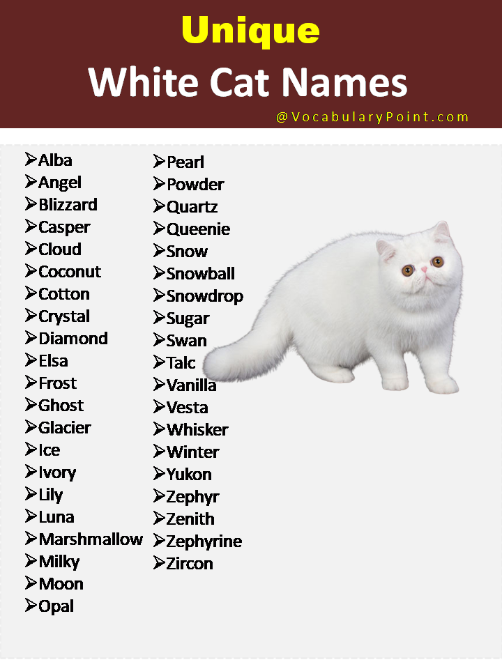 150+ Unique Cat Names in English (Black, Gray And Kitten) - Vocabulary ...