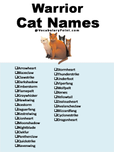 500+ Most Popular Cat Names in English - Vocabulary Point