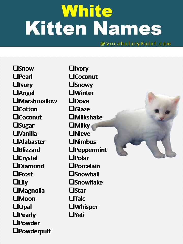 White Kitten Names