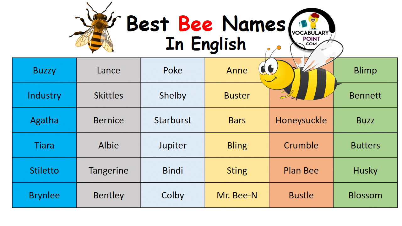 Best Bee Names In English Vocabulary Point