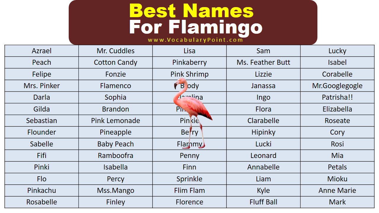 Best Names For Flamingo