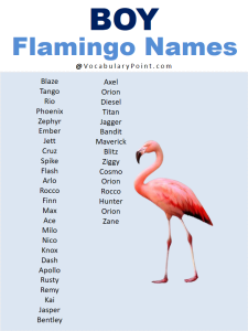 Best Names For Flamingo ( Cute, Funny, Baby ) - Vocabulary Point