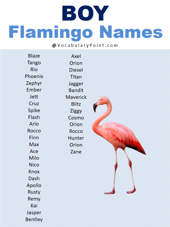 Boy Flamingo Names