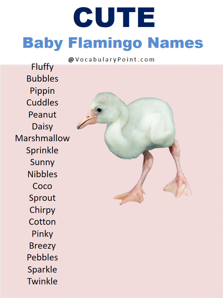Cute Baby Flamingo Names