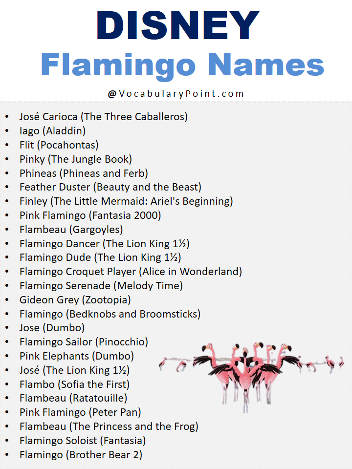 Disney Flamingo Names