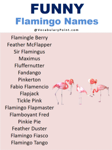 Best Names For Flamingo ( Cute, Funny, Baby ) - Vocabulary Point