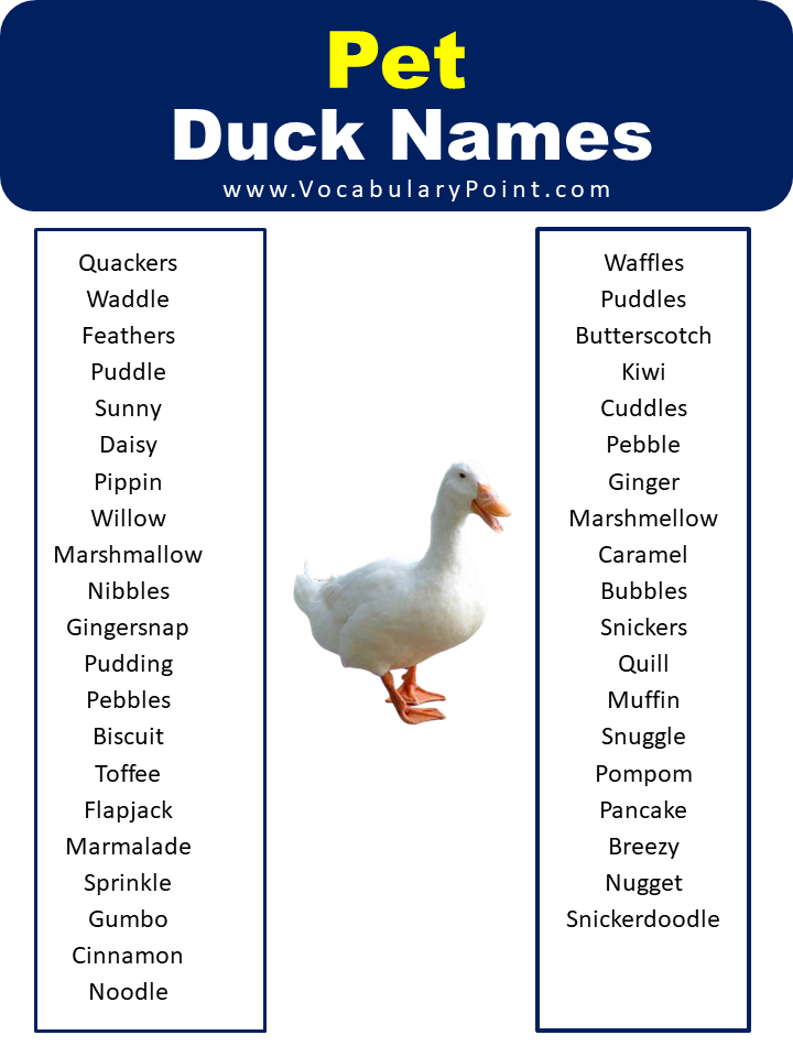 Pet Duck Names