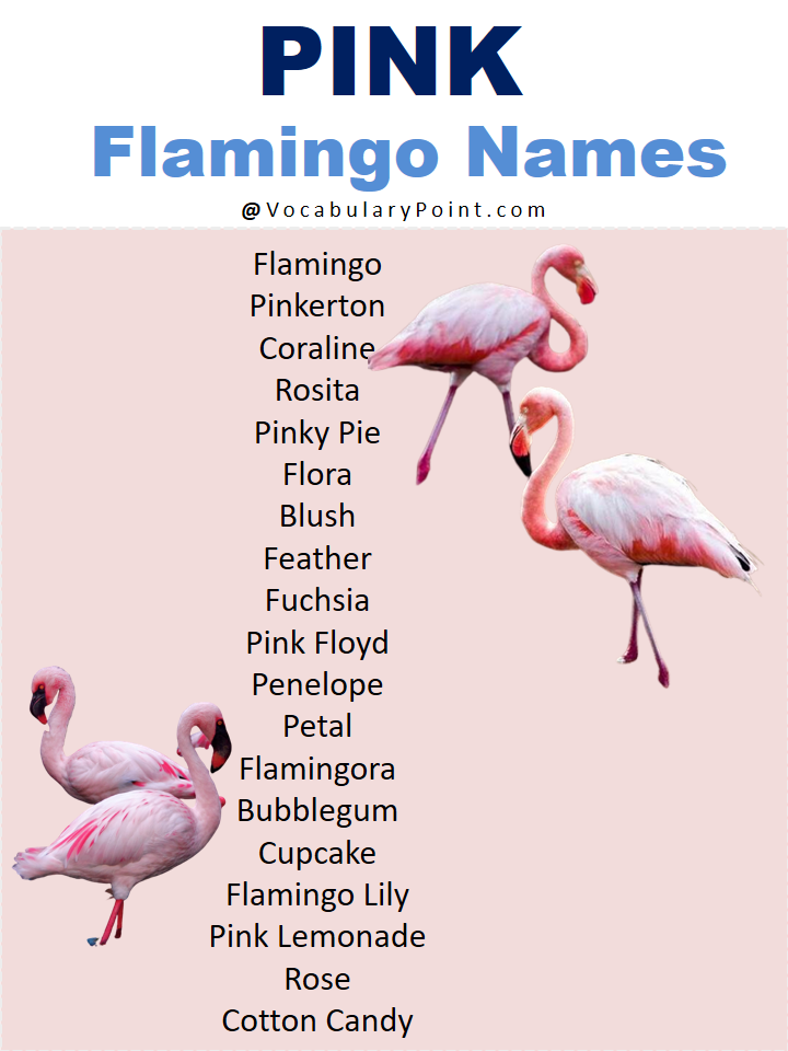 Pink Flamingo Names