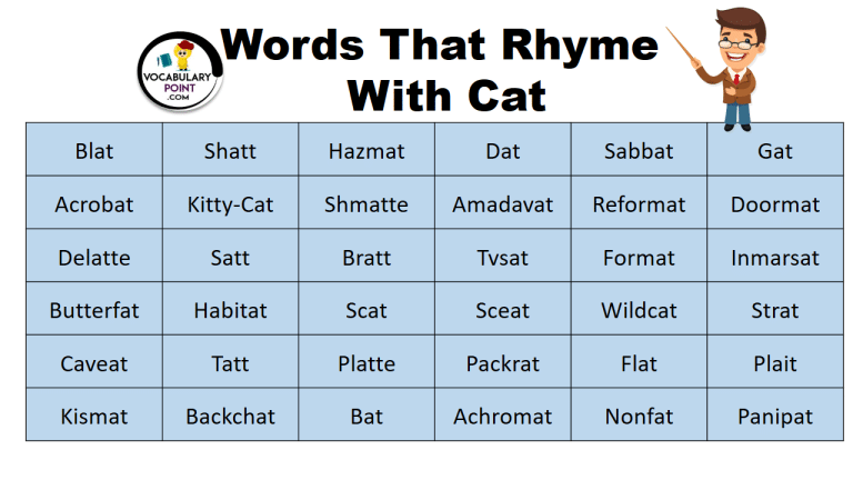 Words That Rhyme with Cat - Vocabulary Point