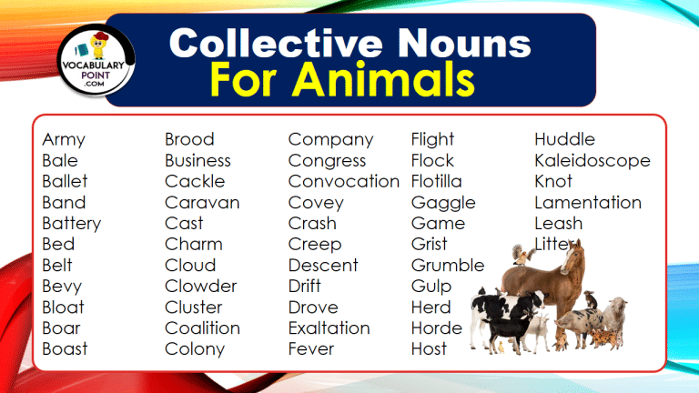 Collective Nouns For Animals (With Meaning and Examples) - Vocabulary Point