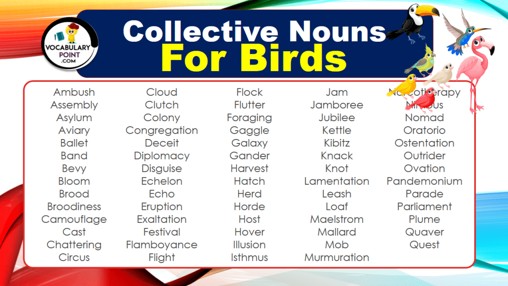 Collective Nouns For Birds (With Meaning and Examples) Vocabulary Point