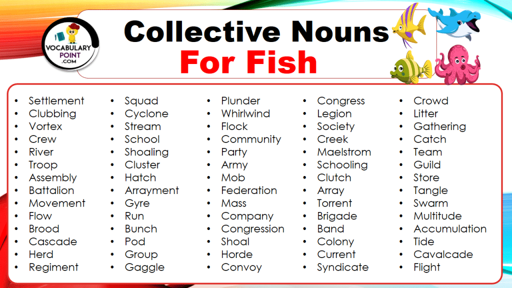 Collective Nouns For Fish With Meaning And Examples Vocabulary Point
