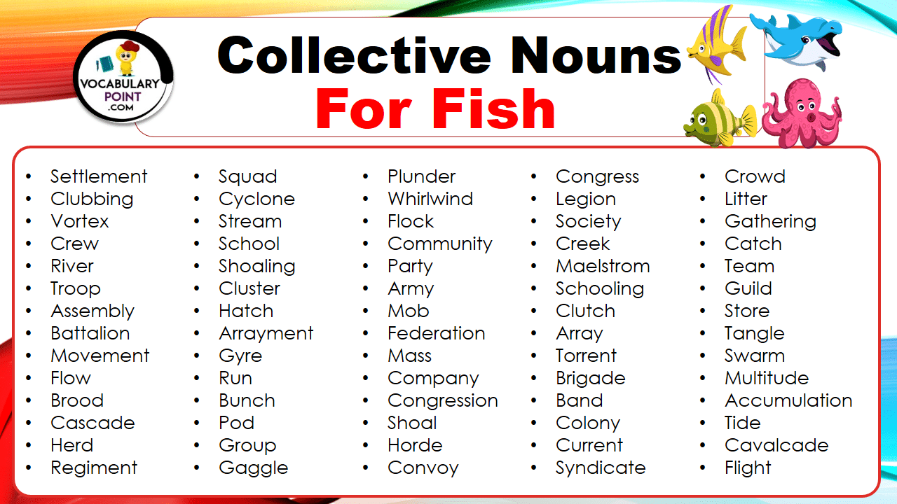 Collective Nouns For Fish