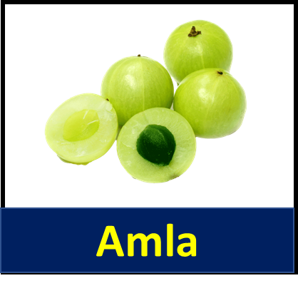 Amla