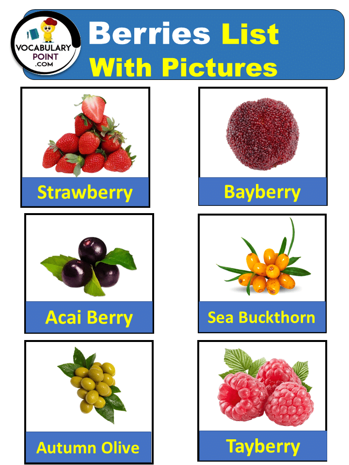 Berries List with pictures