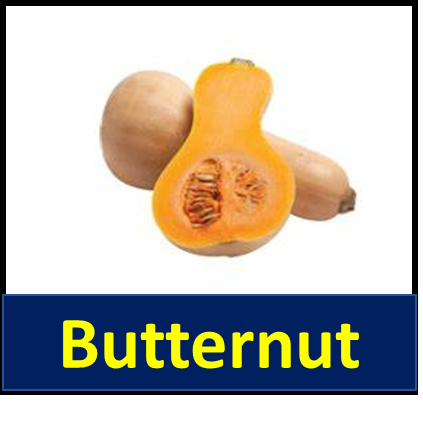 Butternut