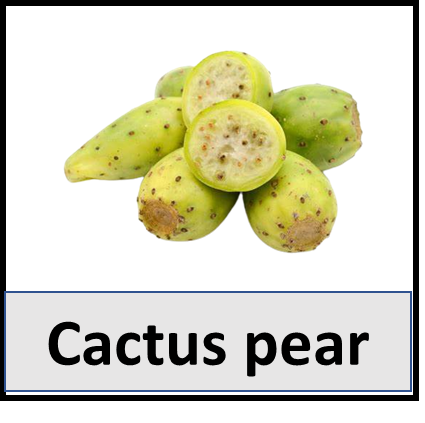 Cactus pear