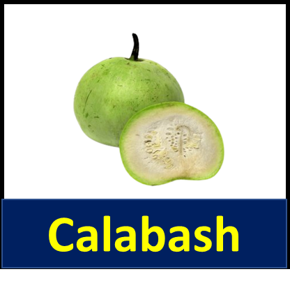 Calabash