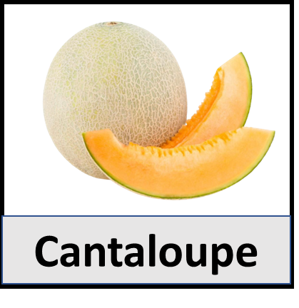 Cantaloupe