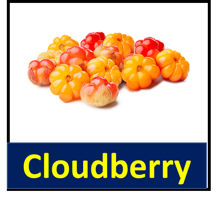 Cloudberry