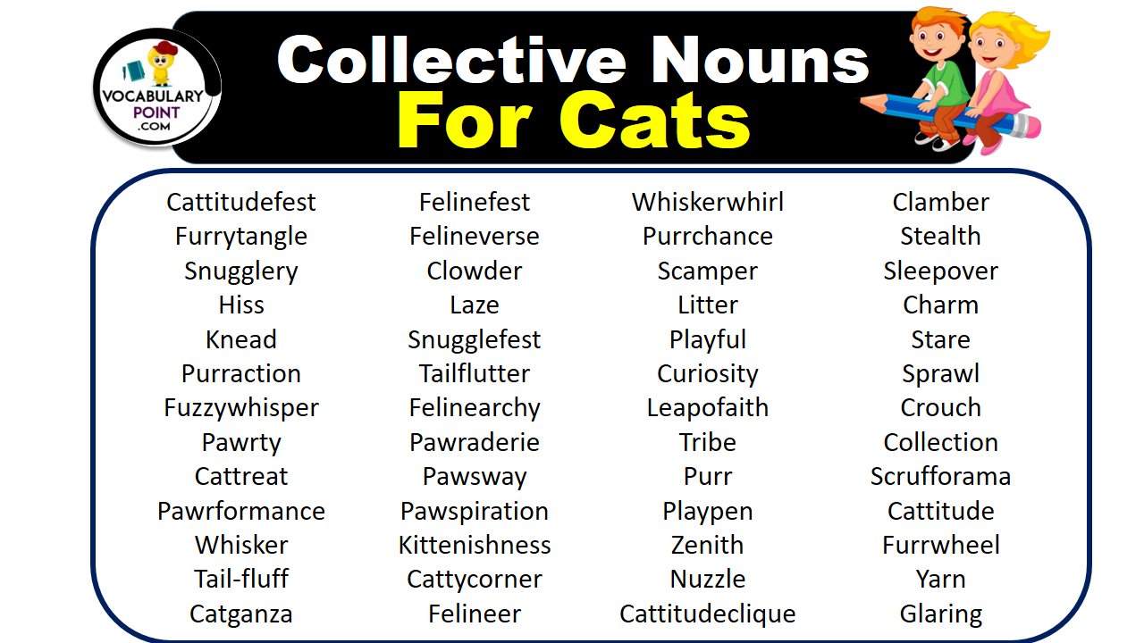 Collective Nouns For Cats