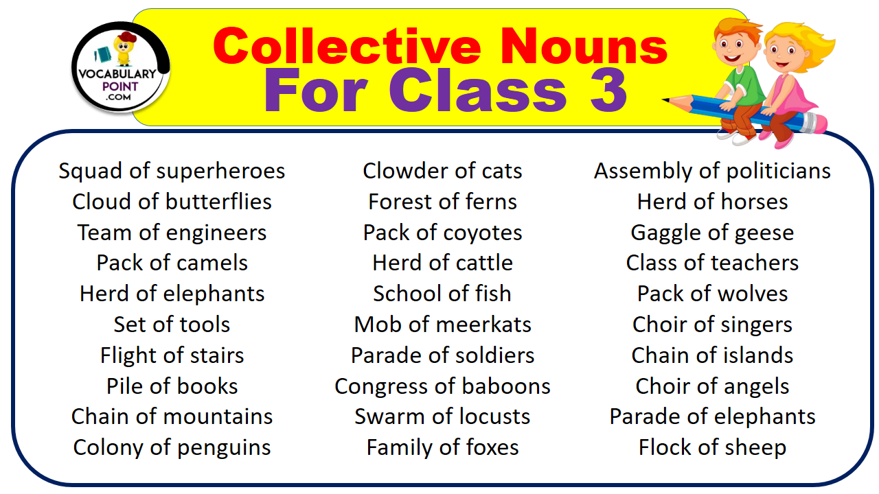 Collective Nouns For Class 3 With Meaning And Examples Vocabulary Point