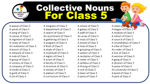 Collective Nouns For Class 5 (With Meaning and Examples) - Vocabulary Point