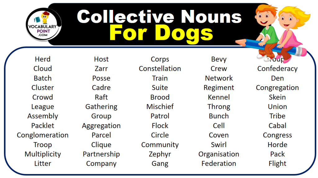 Collective Nouns For Dogs (With Meaning and Examples) - Vocabulary Point