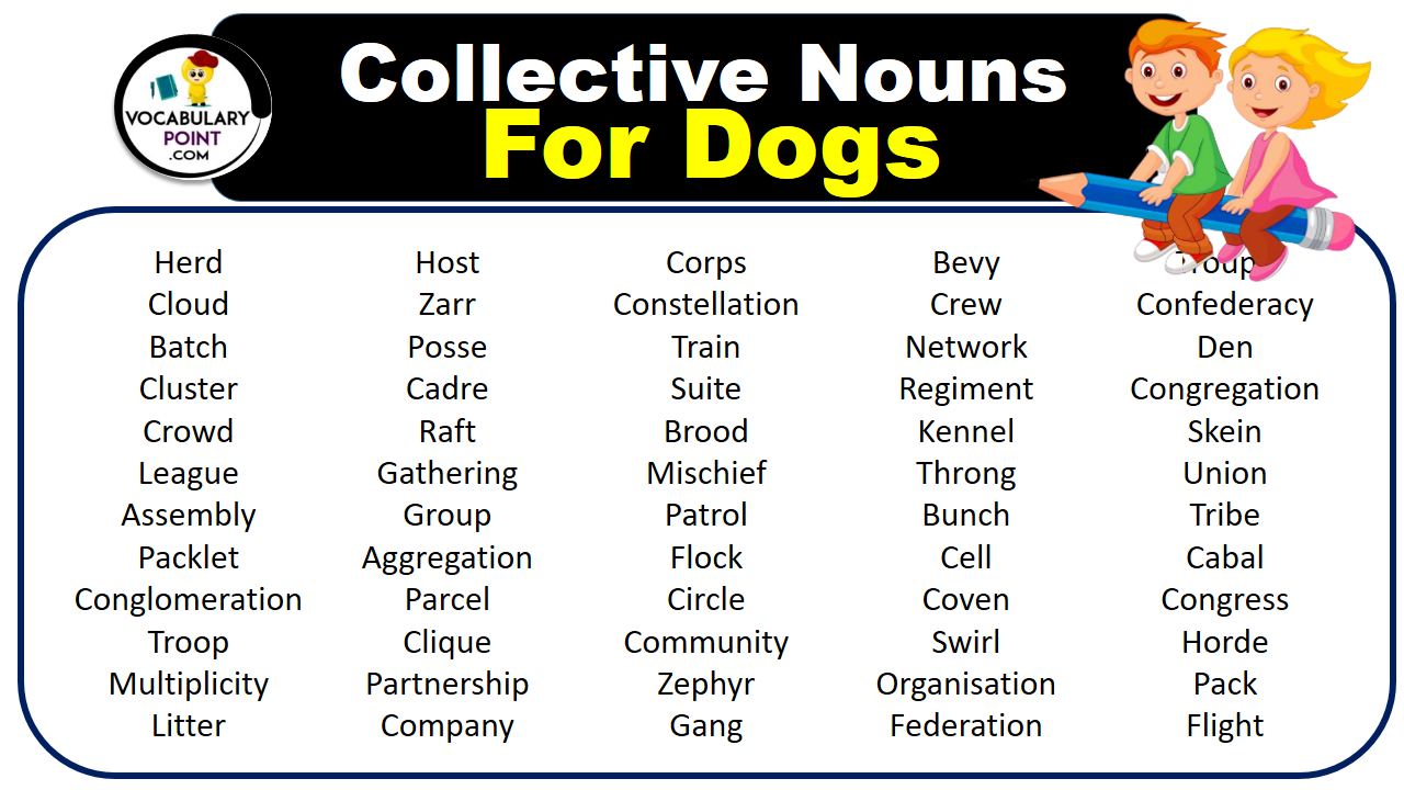 Collective Nouns For Dogs