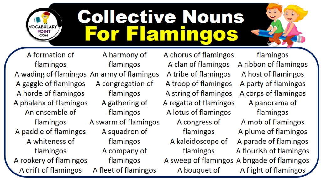 Collective Nouns For Flamingos (With Meaning and Examples) - Vocabulary