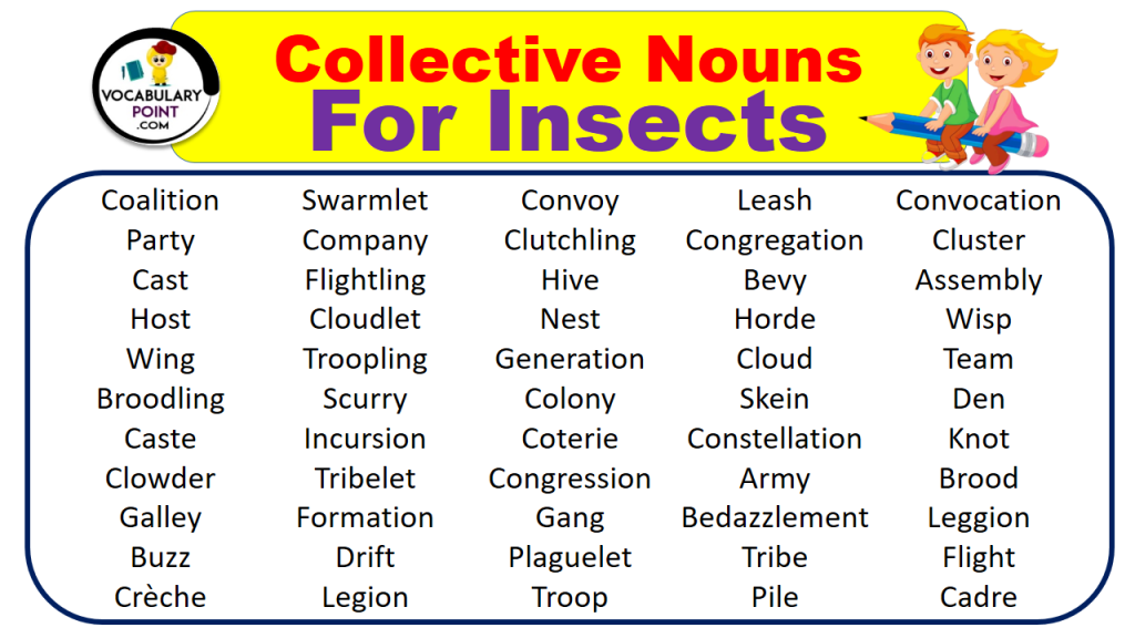 collective-nouns-for-insects-with-meaning-and-examples-vocabulary-point