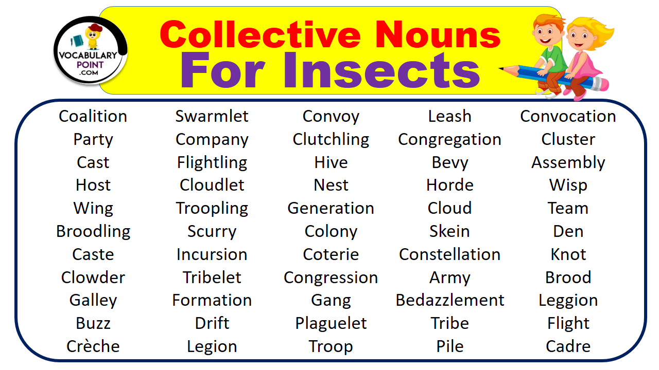 Collective Nouns For Insect