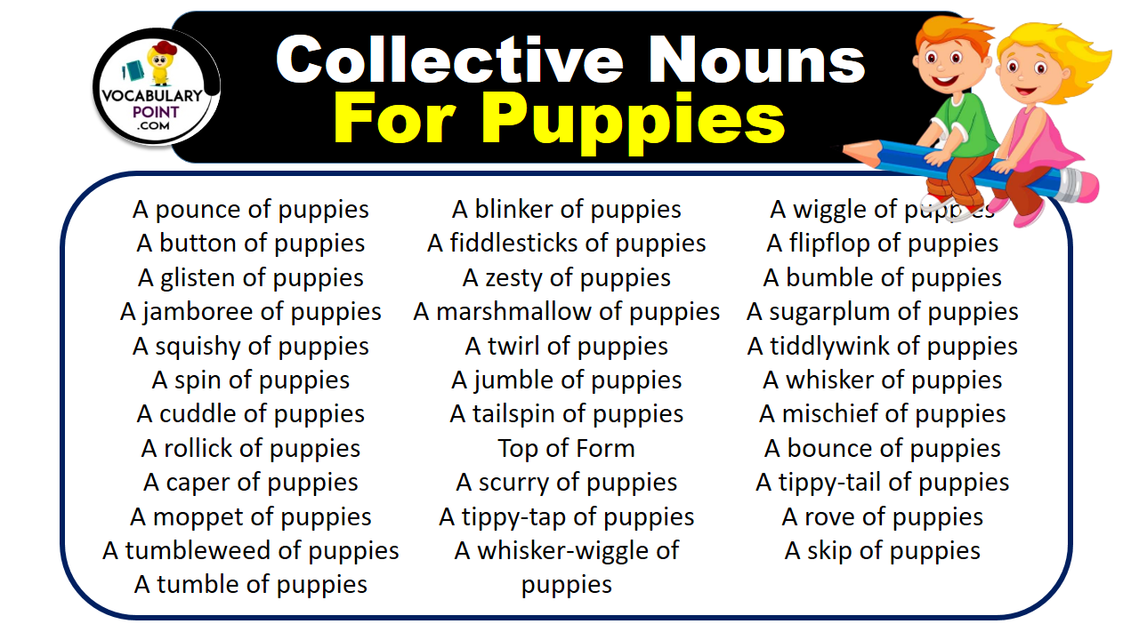 Collective Nouns For Puppies