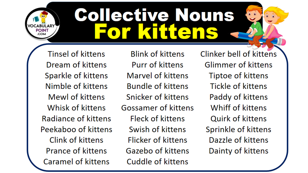 Collective Nouns For kittens (With Meaning and Examples) Vocabulary Point