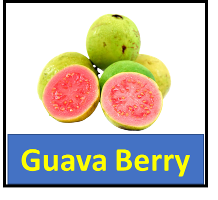 Guava Berry
